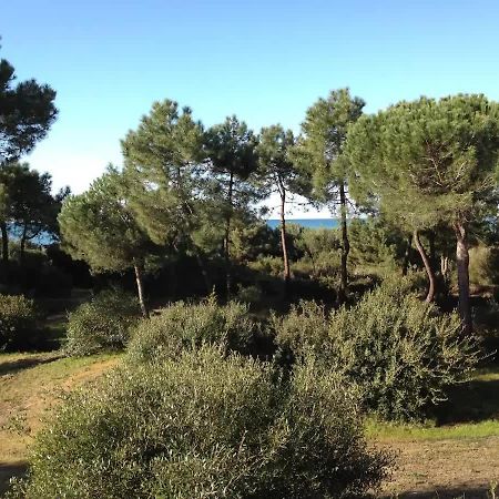 Tenuta Le Marze كاستيغليون ديلا بيسكايا المظهر الخارجي الصورة