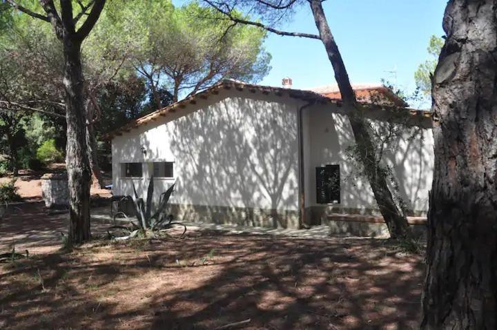 Tenuta Le Marze كاستيغليون ديلا بيسكايا المظهر الخارجي الصورة
