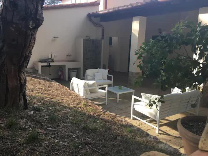 Tenuta Le Marze كاستيغليون ديلا بيسكايا المظهر الخارجي الصورة