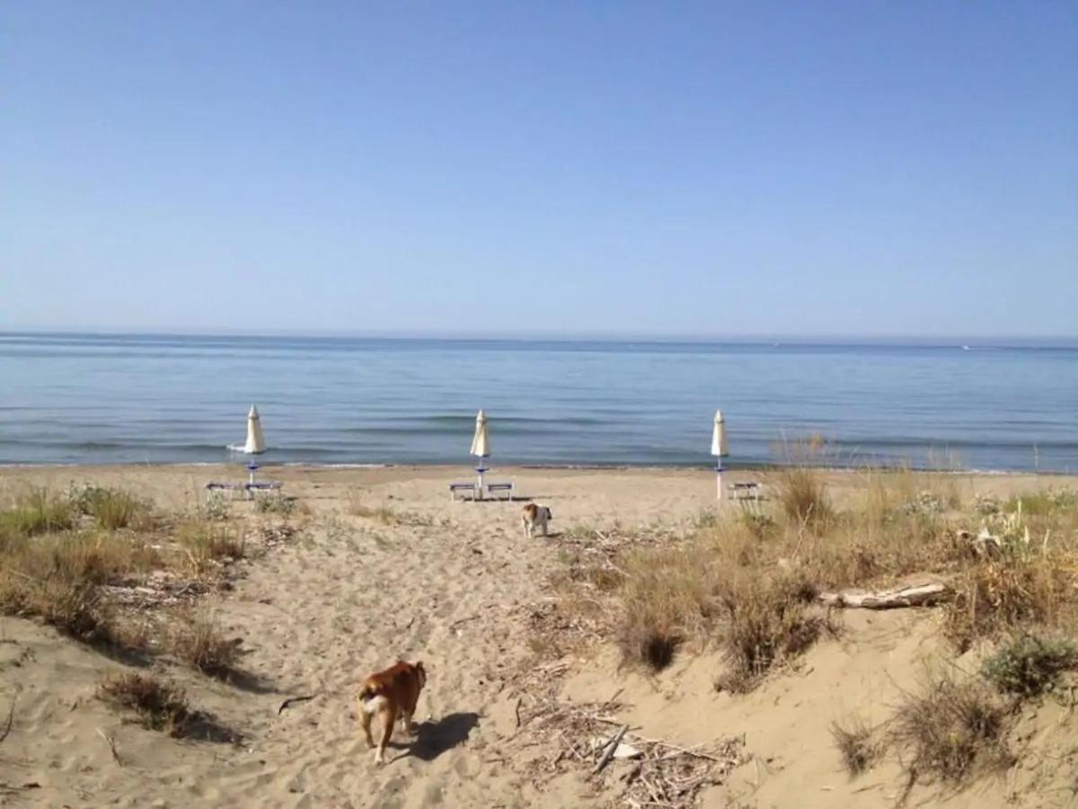 Tenuta Le Marze كاستيغليون ديلا بيسكايا المظهر الخارجي الصورة