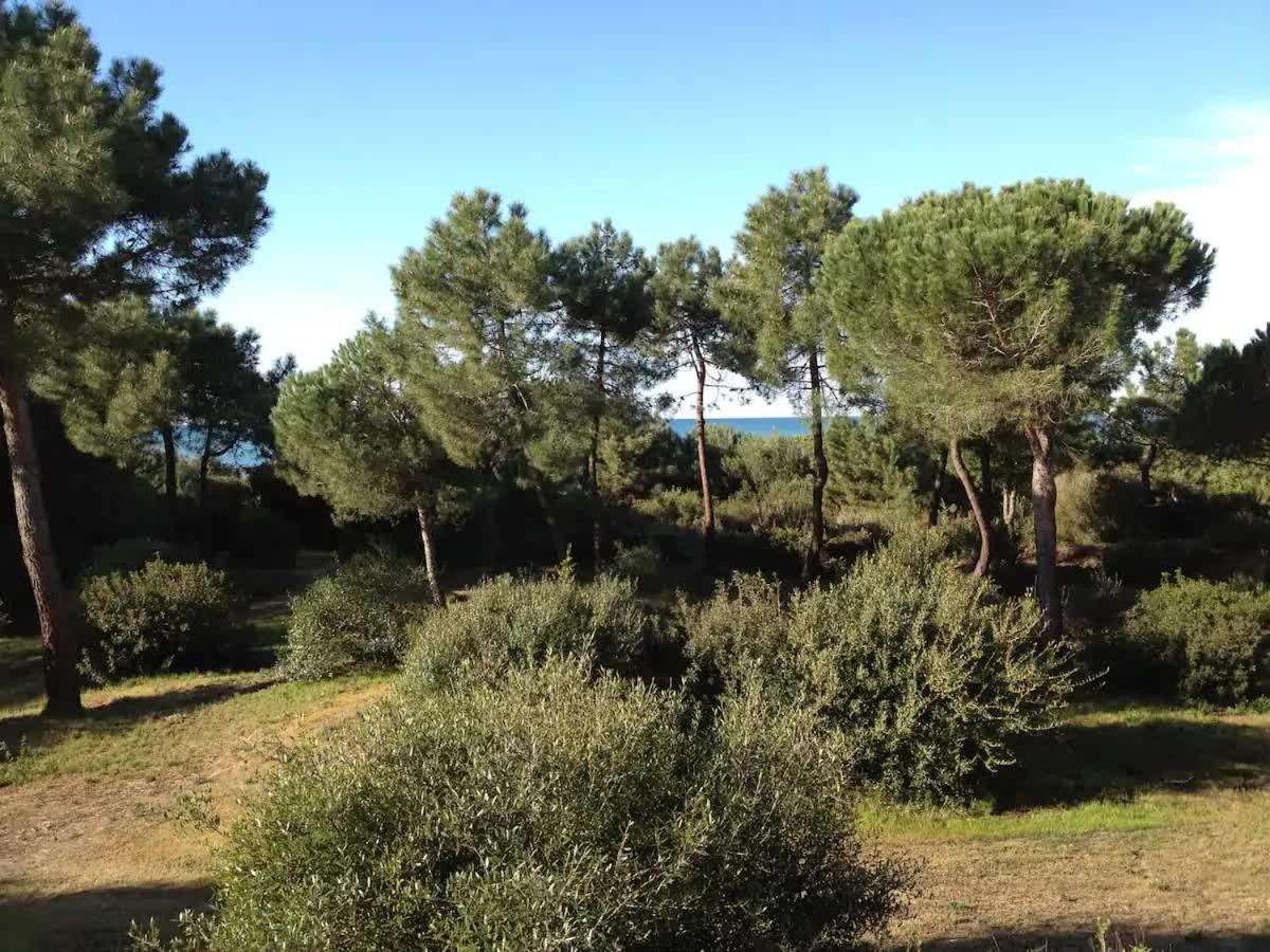 Tenuta Le Marze كاستيغليون ديلا بيسكايا المظهر الخارجي الصورة