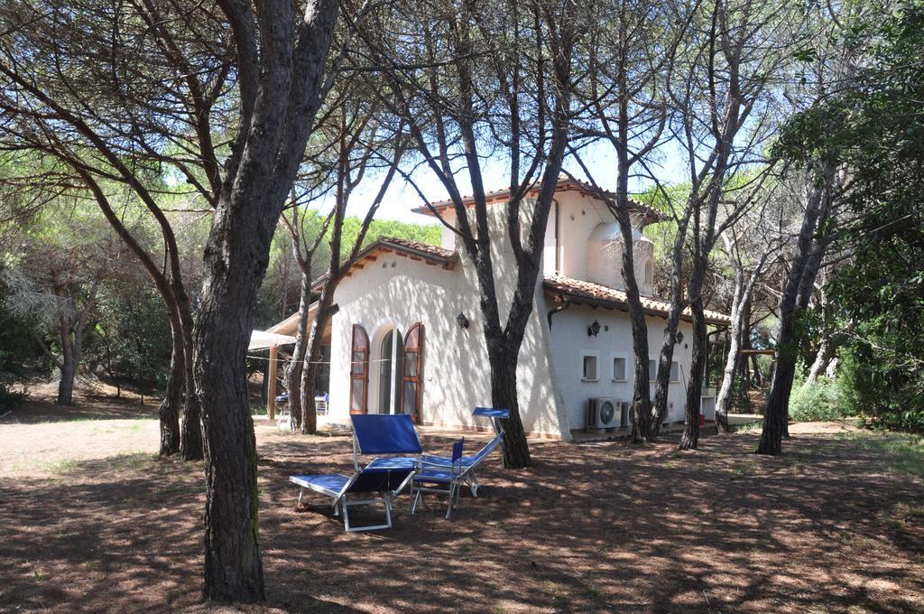 Tenuta Le Marze كاستيغليون ديلا بيسكايا المظهر الخارجي الصورة