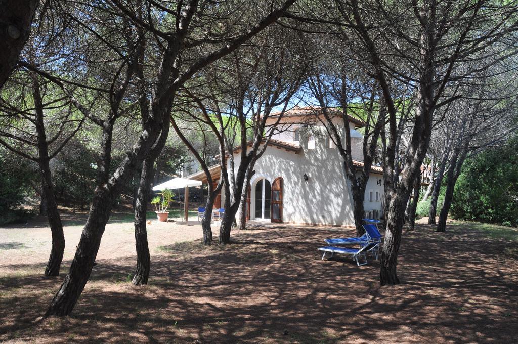 Tenuta Le Marze كاستيغليون ديلا بيسكايا المظهر الخارجي الصورة