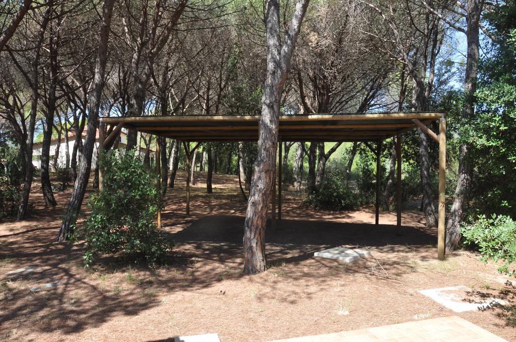 Tenuta Le Marze كاستيغليون ديلا بيسكايا المظهر الخارجي الصورة