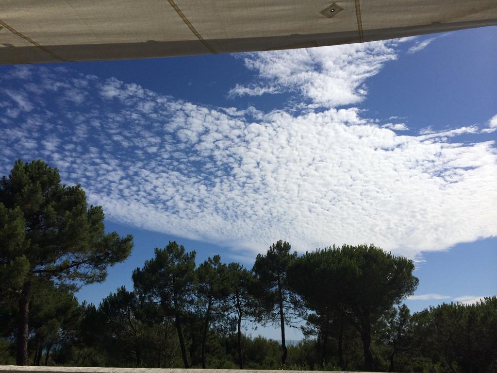 Tenuta Le Marze كاستيغليون ديلا بيسكايا المظهر الخارجي الصورة