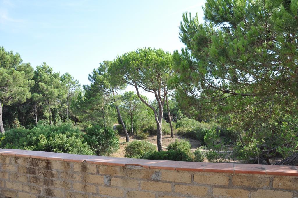 Tenuta Le Marze كاستيغليون ديلا بيسكايا المظهر الخارجي الصورة